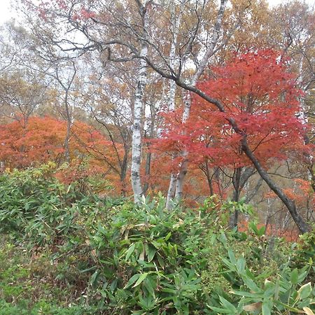 山之內 汤田中和平旅馆酒店 外观 照片