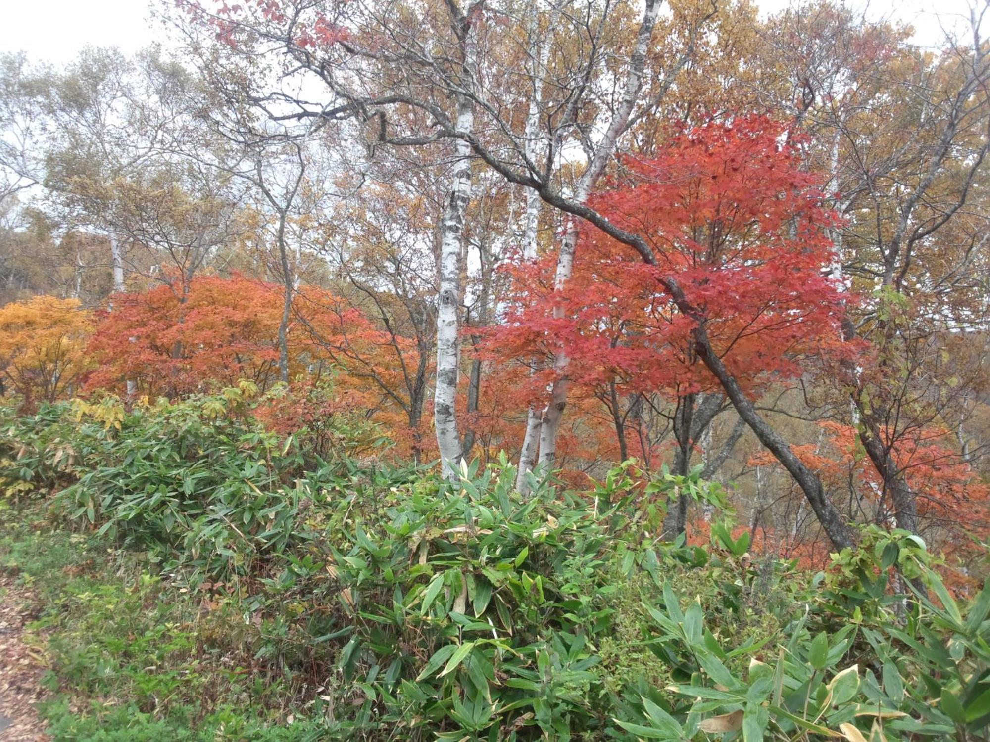 山之內 汤田中和平旅馆酒店 外观 照片